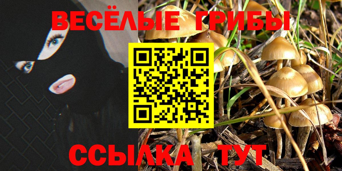 Галлюциногенные грибы Psilocybine cubensis Магадан