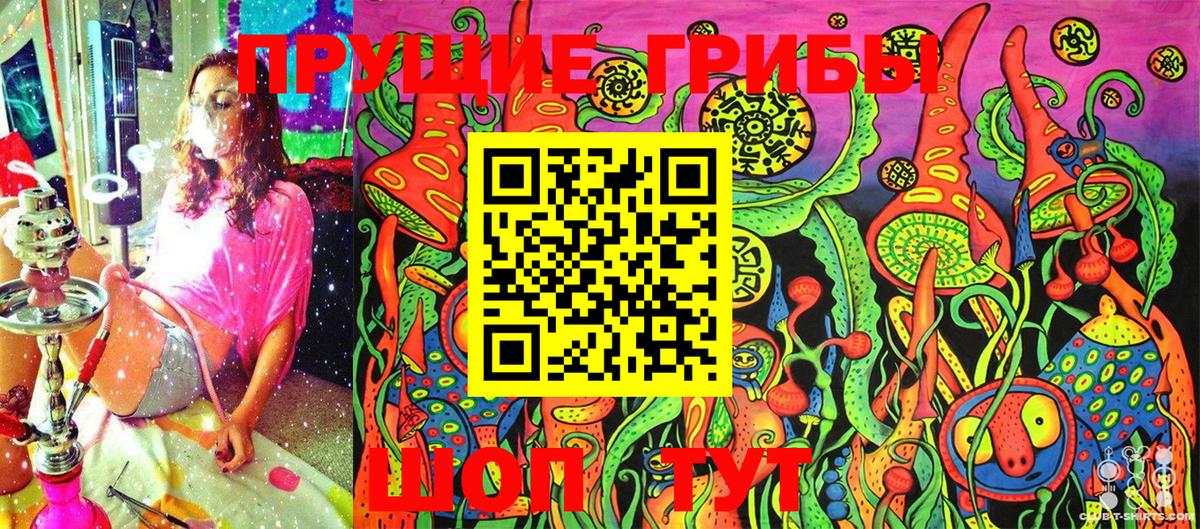 как найти   Галлюциногенные грибы MAGIC MUSHROOMS  Вход с VPN  Магадан 
